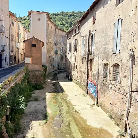 Le Cocon De